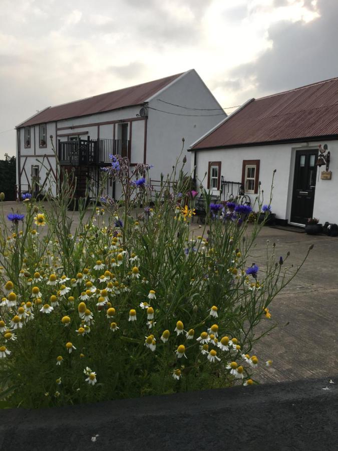 Apartmán Granda Pat'S Loft Crossmaglen Exteriér fotografie